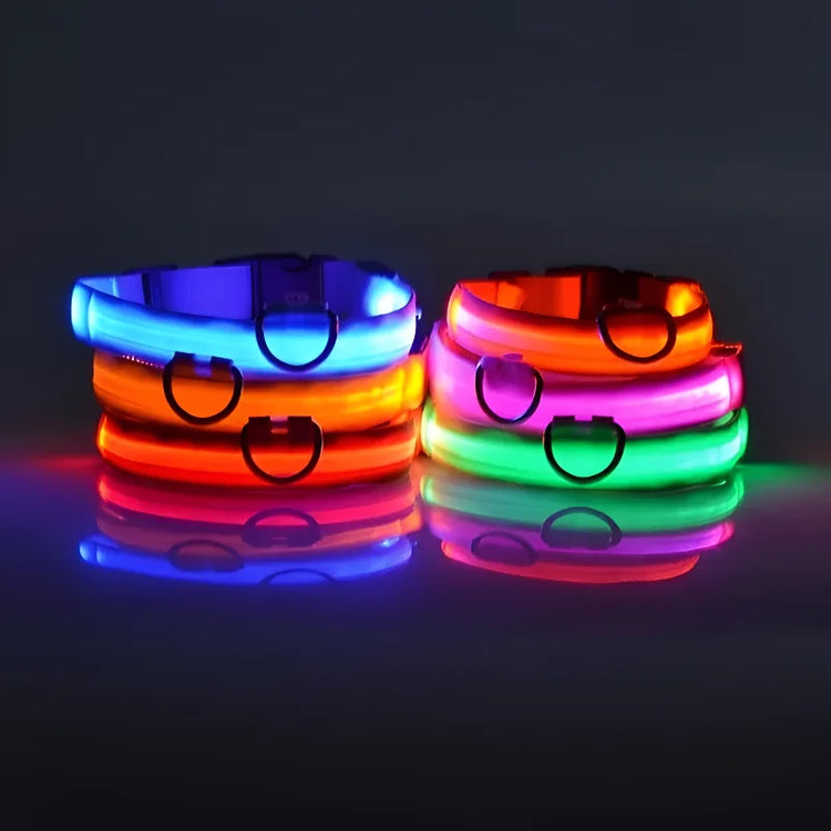 Nylon LED Dog Collar | Night Safety Flashing Glow In The Dark | Dog Leash | LUminous Fluorescent Dog Accessories Collar