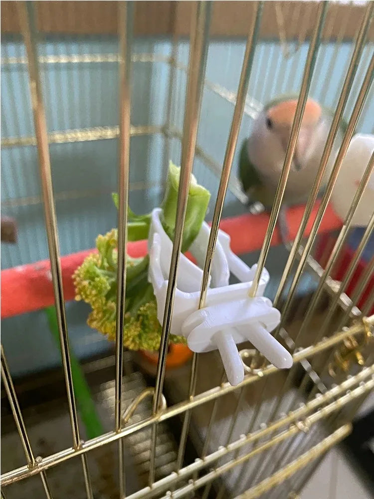 Cute Small Pet Bird Food Holder | Parrot Fruit & Veggie Clip | Cuttlefish Bone Feeder | Cage Clamp Tool | Accessories for Canaries & Cockatiels