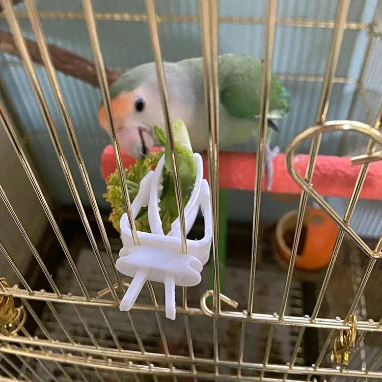 Cute Small Pet Bird Food Holder | Parrot Fruit & Veggie Clip | Cuttlefish Bone Feeder | Cage Clamp Tool | Accessories for Canaries & Cockatiels