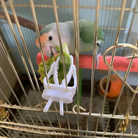 Cute Small Pet Bird Food Holder | Parrot Fruit & Veggie Clip | Cuttlefish Bone Feeder | Cage Clamp Tool | Accessories for Canaries & Cockatiels