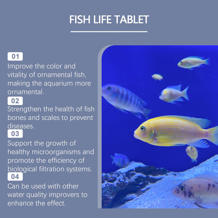 YEGBONG Algaecide 100ml – Rapid Water Purifier & Algae Inhibitor for Fish Tanks and Ponds