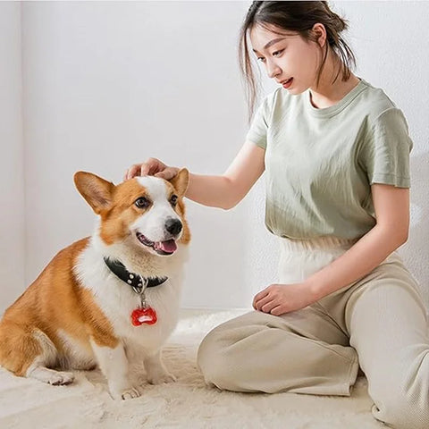 LED Luminous Dog Tag Pendant – Glow in the Dark Safety Collar Accessory for Dogs and Cats