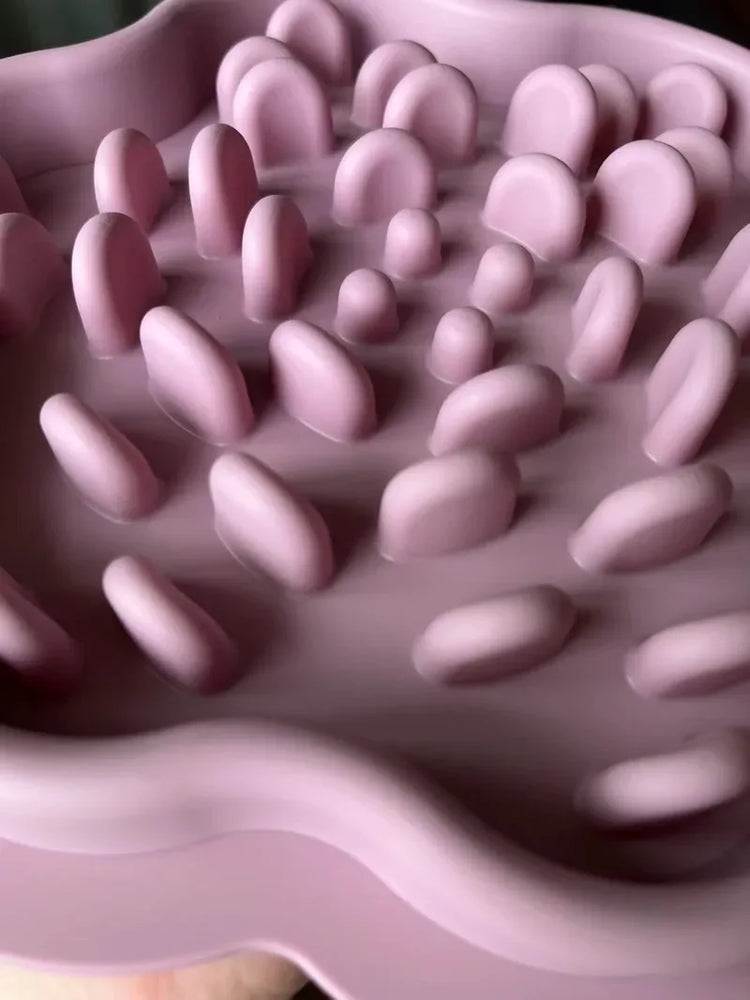 Slow Feeder Bowl for Dogs and Cats | Silicone Licking Mat with Suction Cups for Dog | Slow Feeders Treat Dispensing