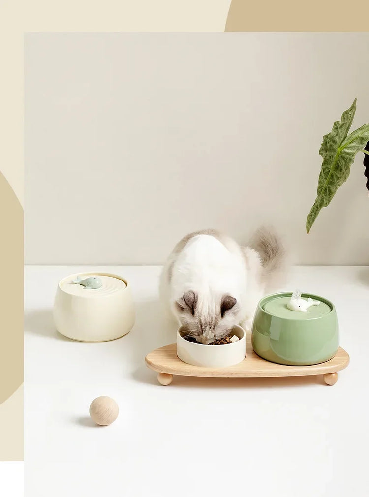 1.3L Ceramic Cat Water Fountain | USB Rechargeable Pet Water Dispenser | Automatic Circulating Filter for Cats & Small Dogs