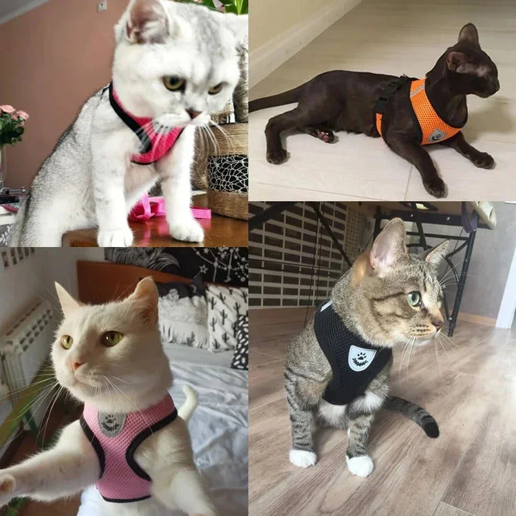 Cat Harness Vest | Walking Lead Leash for Puppy Dogs | Polyester Adjustable Mesh Dog Harness | Small Medium Pet Accessories Collar
