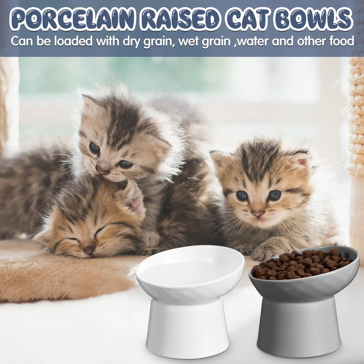 Ceramic Raised Cat Food Bowls | Tilted Elevated Cat Food Bowl Stress Free Backflow Prevention | Microwave Safe Dishwasher