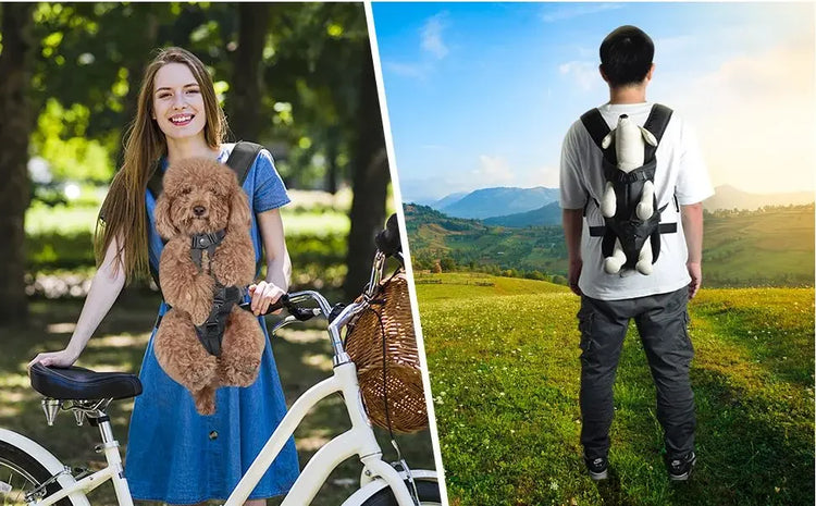 Pet Backpack Carrier | Cat Dog Front Travel Bag | Small Medium Dogs | Puppy Travel Backpack | Mochila Para Perro