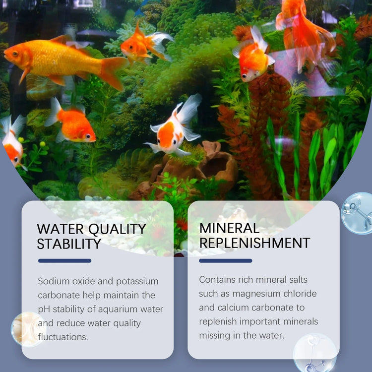 YEGBONG Algaecide 100ml – Rapid Water Purifier & Algae Inhibitor for Fish Tanks and Ponds