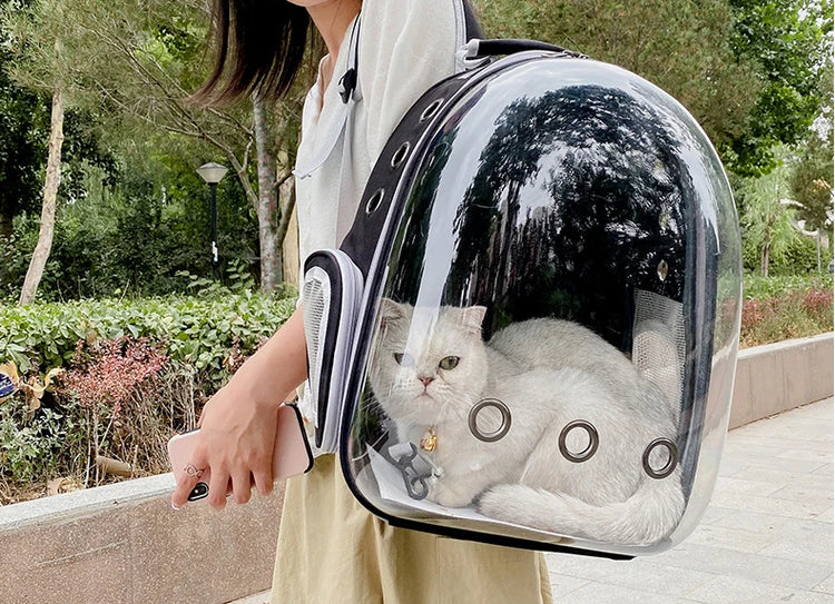 Cat Carrier Bag | Outdoor Pet Shoulder Bag | Carriers Backpack | Breathable Portable Travel Transparent Bag | For Small Dogs Cats