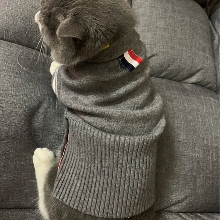 Cat Dog Clothes | Autumn Winter Sweater | Fashion Cardigan | English Short & Blue Cat | Teddy Chenery | Warm Wool Pet Clothing