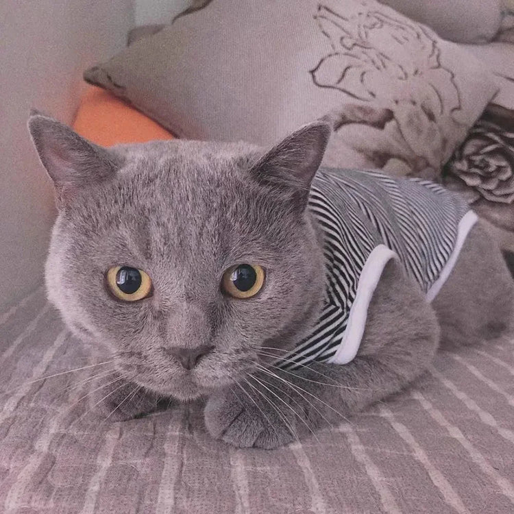 Classic Striped Cat Vest Shirt | Lightweight Summer Pet Clothes For Cats/Small Dogs