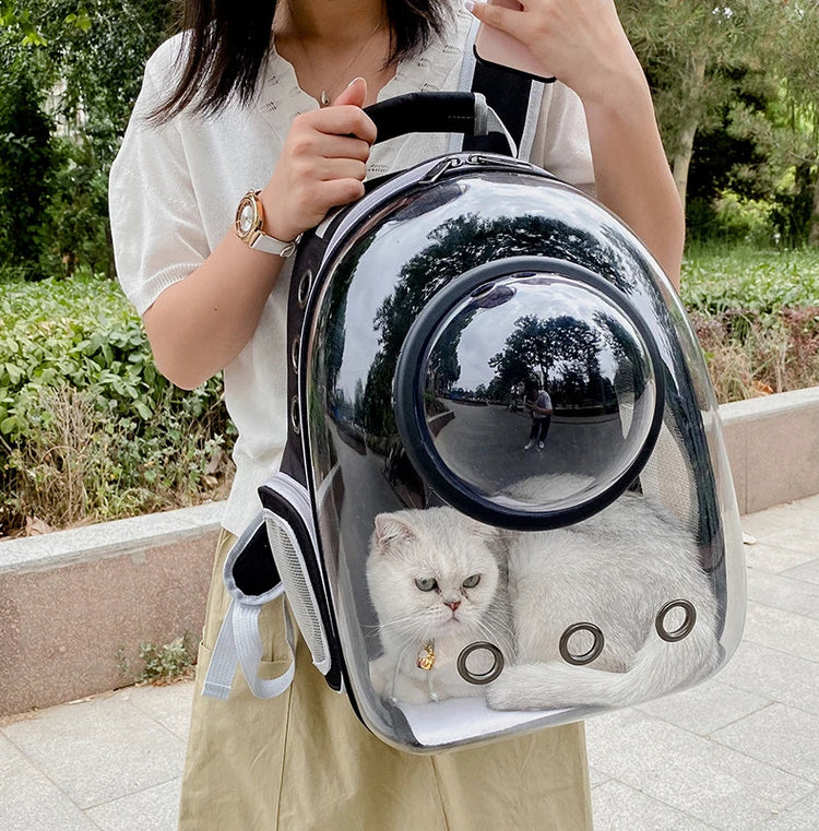 Cat Carrier Bag | Outdoor Pet Shoulder Bag | Carriers Backpack | Breathable Portable Travel Transparent Bag | For Small Dogs Cats