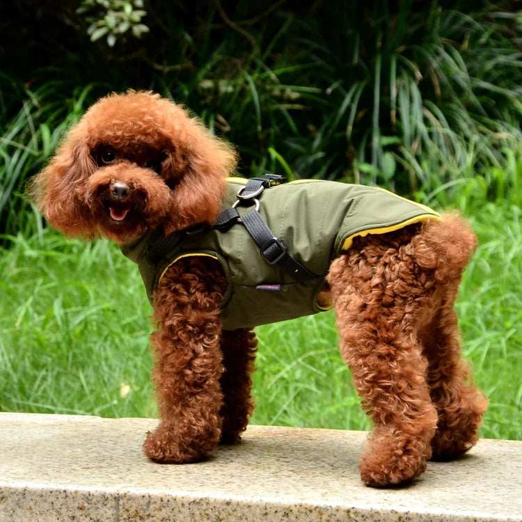 Dog Coat with Harness | Winter Fleece Zipper Jacket | Small Dog Clothes | Winter Cat Apparel |Indoor & Outdoor Pet Gifts