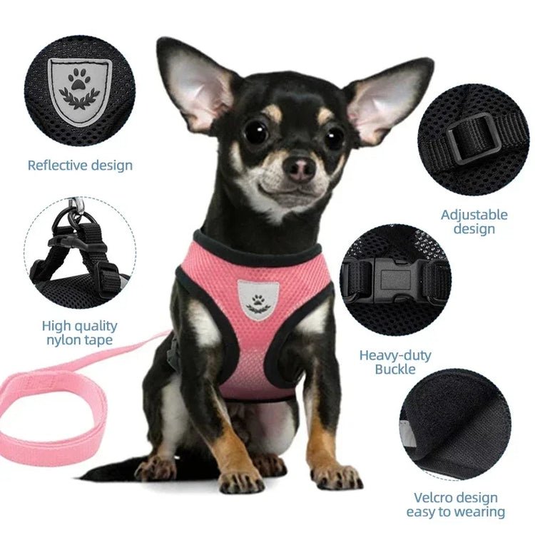 Cat Harness Vest | Walking Lead Leash for Puppy Dogs | Polyester Adjustable Mesh Dog Harness | Small Medium Pet Accessories Collar
