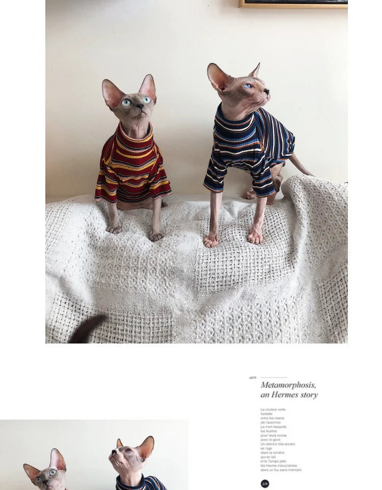 Striped Knitted Cat Clothes for Sphynx | Warm Vest for Hairless Cats | Autumn/Winter Outfit (XS–XL)
