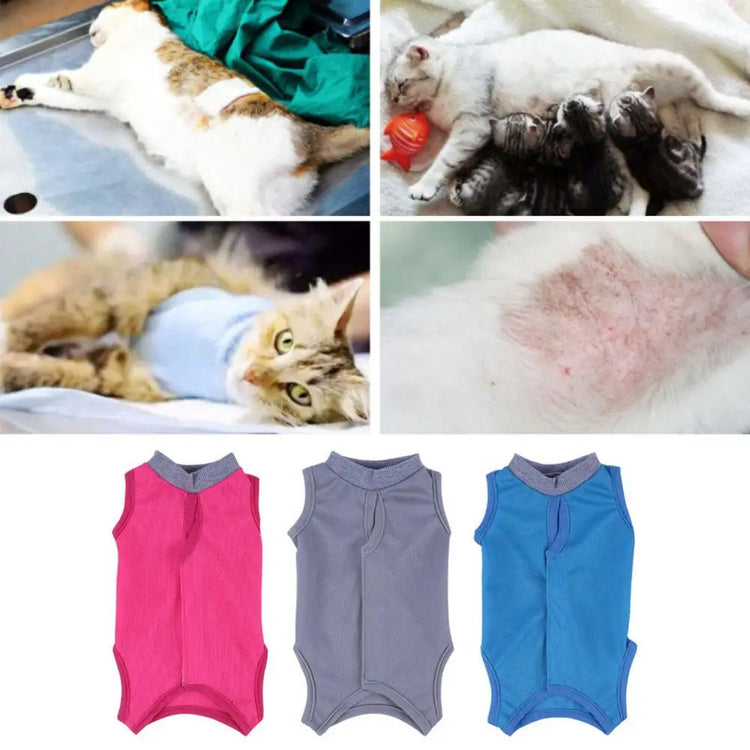 Cat Neutering Suit | Comfortable Adjustable Recovery Vest for Cats