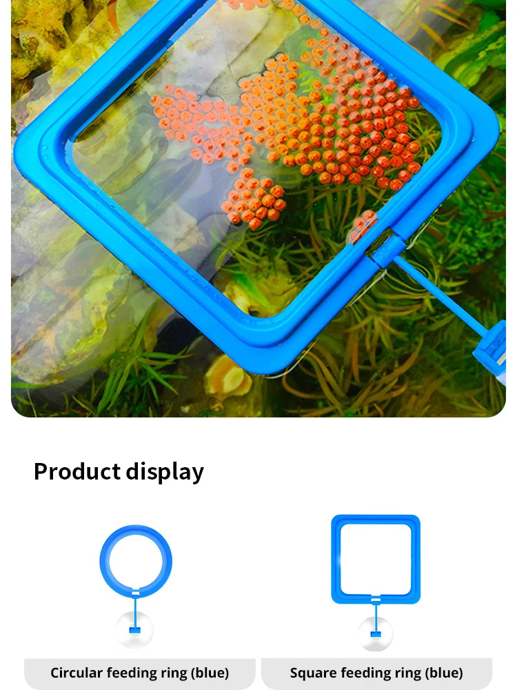 Floating Fish Food Feeder Ring with Suction Cup – Square & Circle Aquarium Station