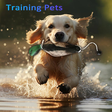 Dog Training Duck Dummy | Waterfowl Retrieval Training Toy for Dogs