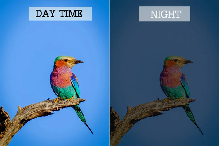 Bird Feeder Camera | 4MP 2K HD Bird Video Capture | Solar Powered WiFi Camera Feeder | Smart Birdwatching Device with Alerts | Outdoor Bird Observation Tool