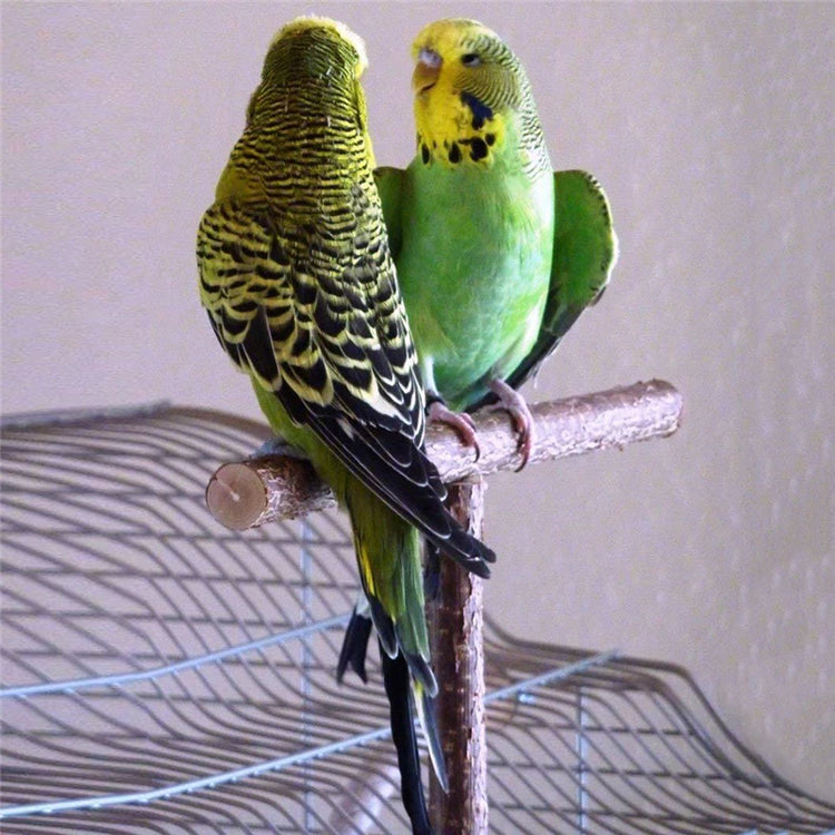 Pet Parakeet Budgie Hanging Play Toys | Bird Cage Wood Branch Stand Perches | Parrot Wooden Holder Perches