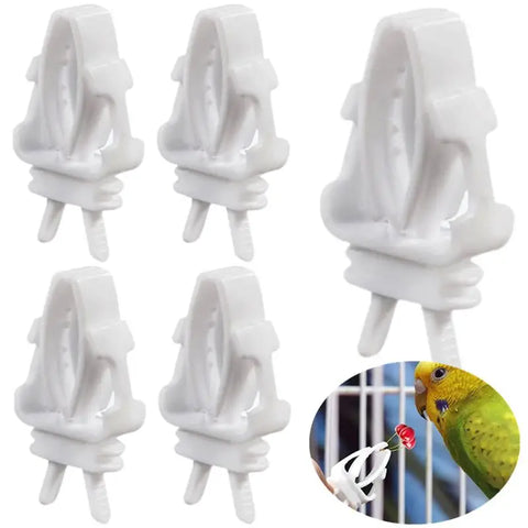 1/6/12pcs Bird Food Holder | Parrot Feeding Clip | Fruit Vegetable Clamp | Cuttlefish Bone Feeder | Cage Mount Tool for Pet Birds