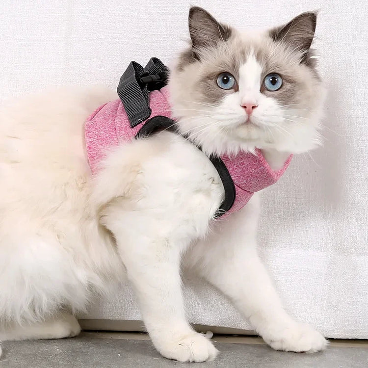 Cat Harness and Leash for Walking | Escape Proof | Soft Vest Harnesses for Cats | Breathable | Reflective Strips Jacket | Cat Accessories