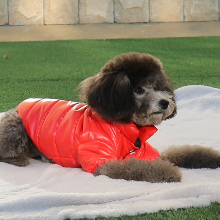 Warm Winter Dog Costume(XS-XL) | Chihuahua Yorkie Coat Clothing | Thick PU Leather Dog Down Jacket