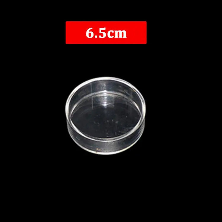 Transparent Acrylic Shrimp Feeder with Suction Cup – Floating & Bottom Feeding Fish Tank Accessory
