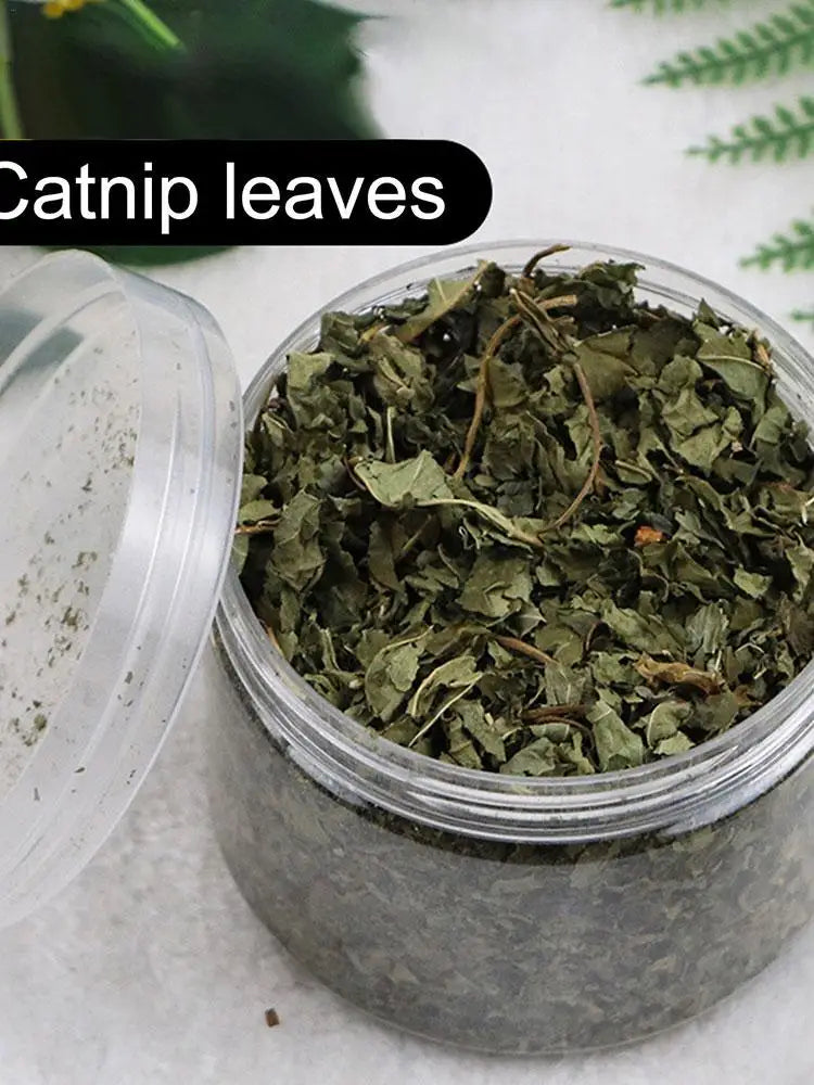 Natural Catnip | Organic Premium Catmints | Cat Toy Cataria | Eliminating Cats Hairballs | Absorbing Foods | Vitamin Supplement