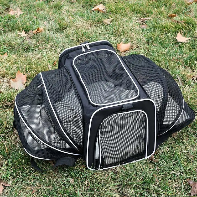 Soft-Sided Dog and Cat Carrier for Kittens – Lightweight & Portable Travel Bag