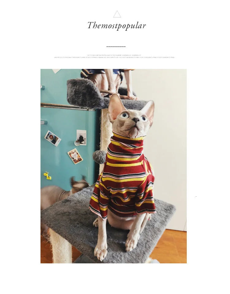 Striped Knitted Cat Clothes for Sphynx | Warm Vest for Hairless Cats | Autumn/Winter Outfit (XS–XL)