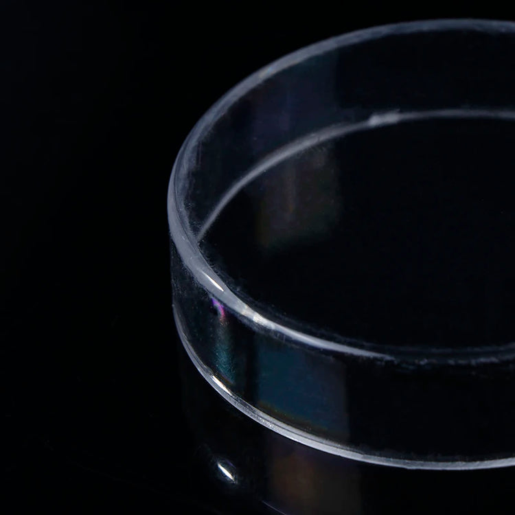 Acrylic Transparent Shrimp Feeder – Lightweight Durable Fish & Shrimp Feeding Container