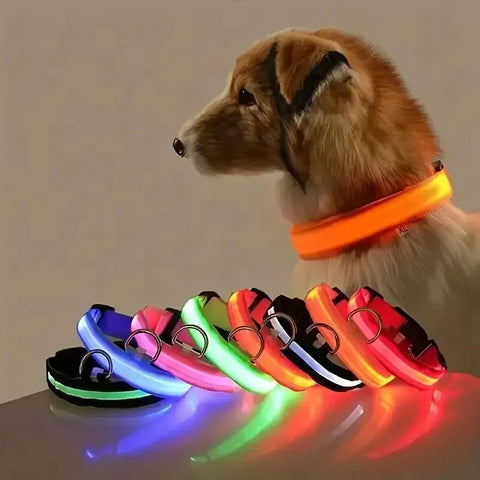 LED Light-Up Dog Collar – High Visibility Safety Collar for Night Walks (Battery Powered)