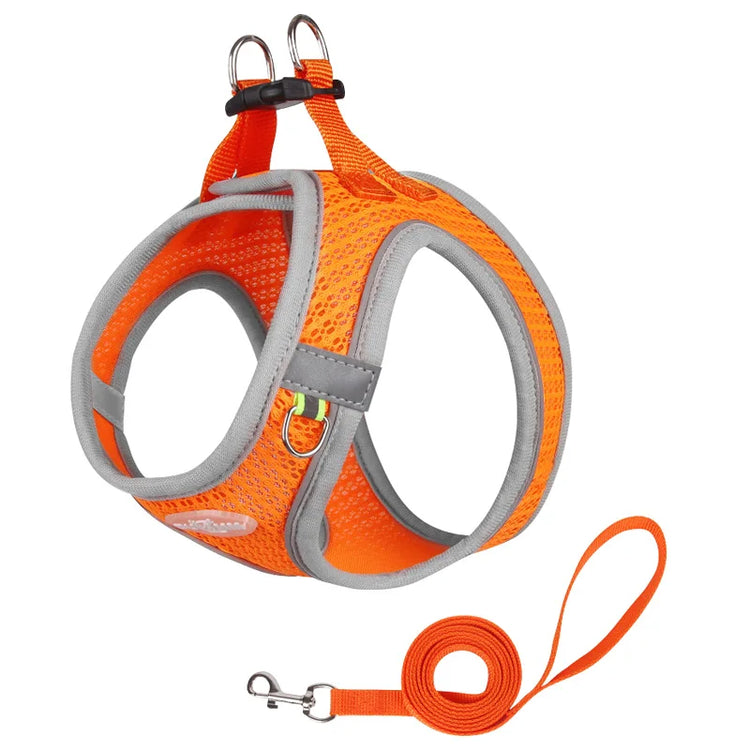 Pawstrip Soft & Reflective Dog Harness with Leash – Comfortable Vest Harness for Small Dogs