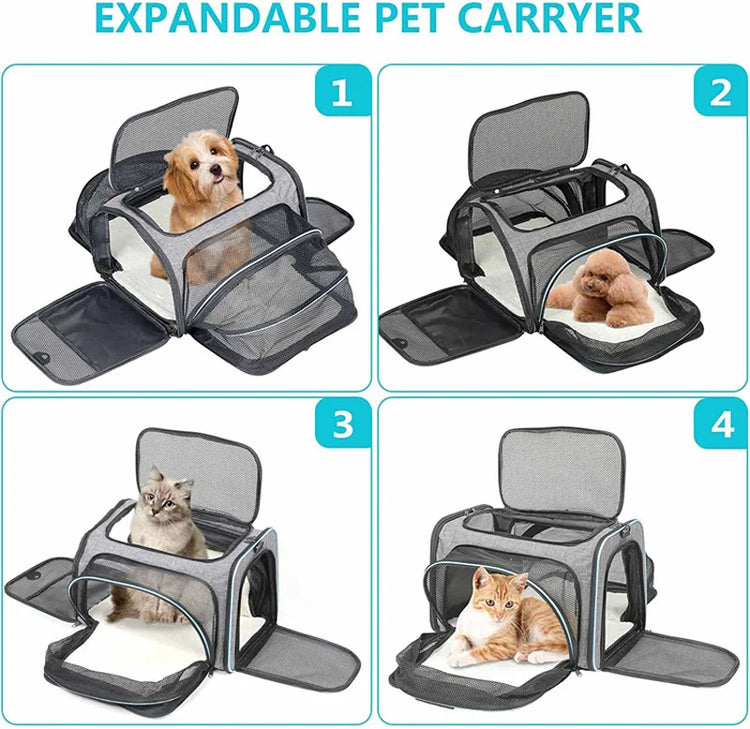 Soft-Sided Dog and Cat Carrier for Kittens – Lightweight & Portable Travel Bag