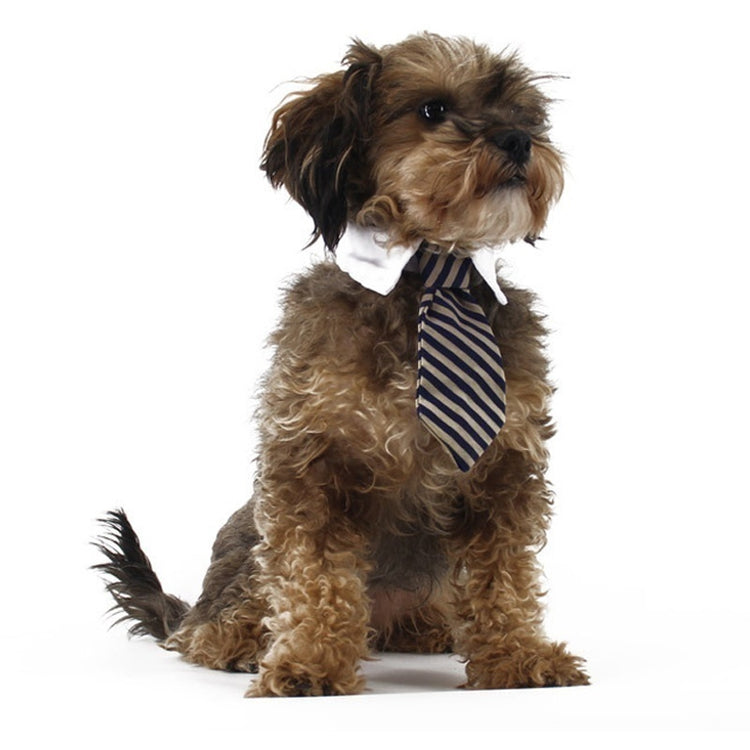 2023 Dog Cat Grooming | Striped Bow Tie - Adjustable Animal Collar | Christmas Pet Necktie | Formal White Collar for Dogs & Cats | Party & Wedding Wear