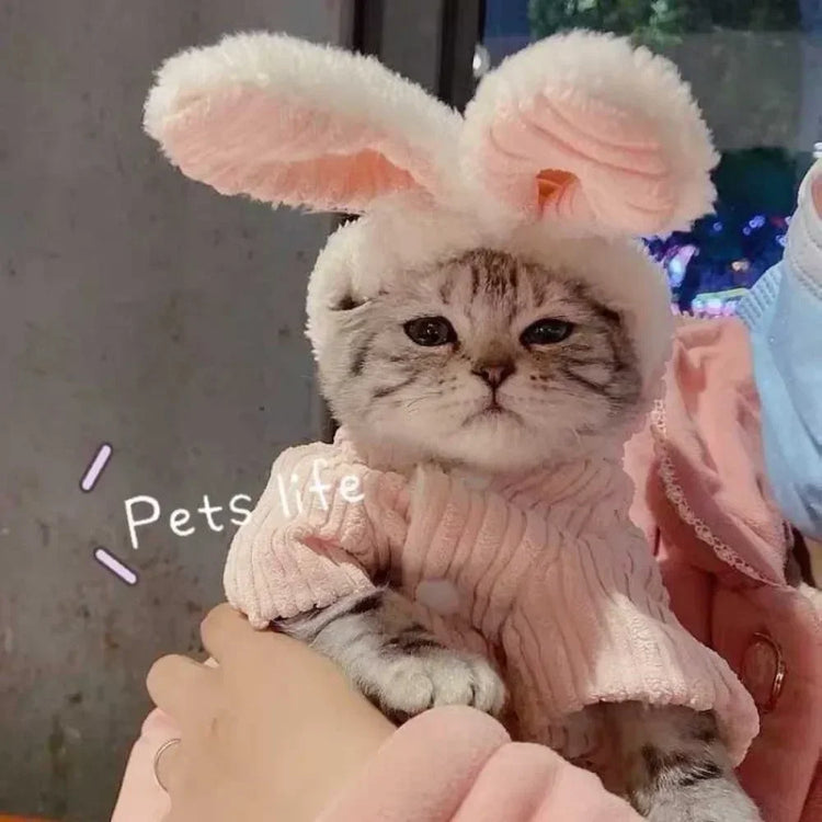 Lovable Winter Clothes for Cats/Small Dogs | Two-Legged Corduroy Cartoon Outfit | Warm Cotton Coat for Hairless Cats/Puppies