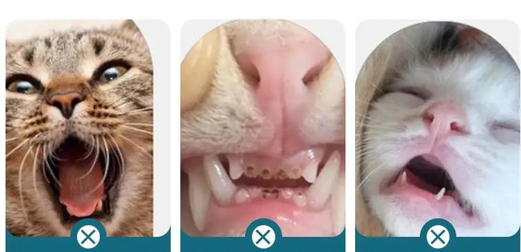 Cat Toothbrush | Dog Teeth Cleaning Brush | Pet Grooming Tool | Soft Bristle Toothbrush | Cat & Dog Mouth Cleaning Supplies