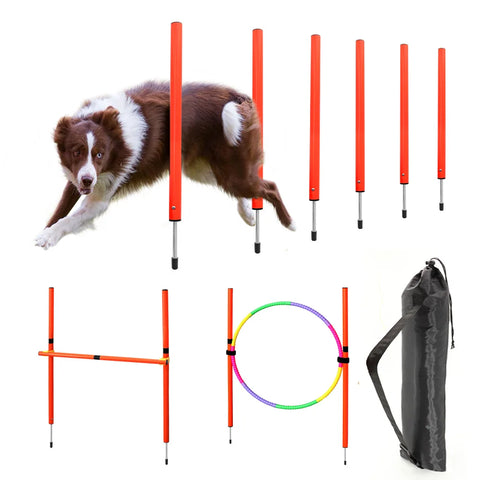 Portable Dog Agility Equipment Jumping Training Tool for Outdoor Exercise