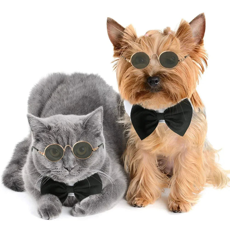 Cat Dog Sunglasses | Funny Pet Glasses - Round Metal Cat Classic Retro Sunglasses with Anti-Slip Belt | Pet Party Costume Photo Props