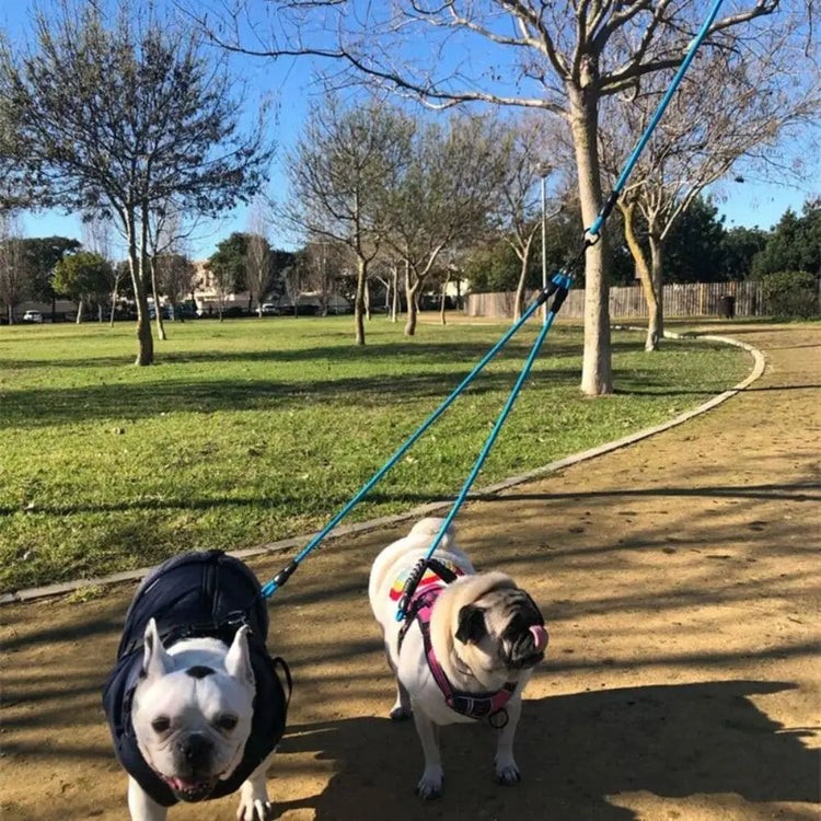 Double Dog Leash Nylon Two-Headed Coupler – Walk 2, 3, or 4 Dogs with Ease