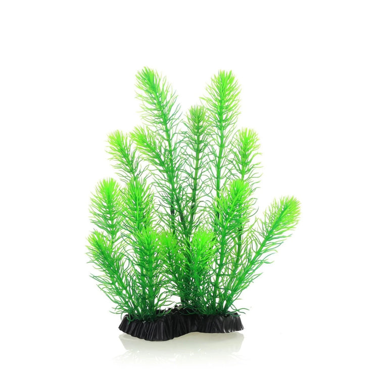 Artificial Aquarium Plants – Simulated Dog's Tail Grass with Ceramic Base, 26cm