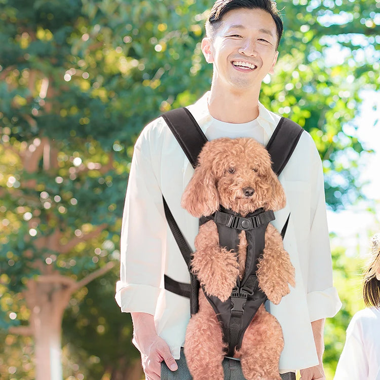 Pet Carriers | Comfortable Dog Backpack | Breathable Travel Bag | Durable Outgoing Carrier for Small Cats/Dogs