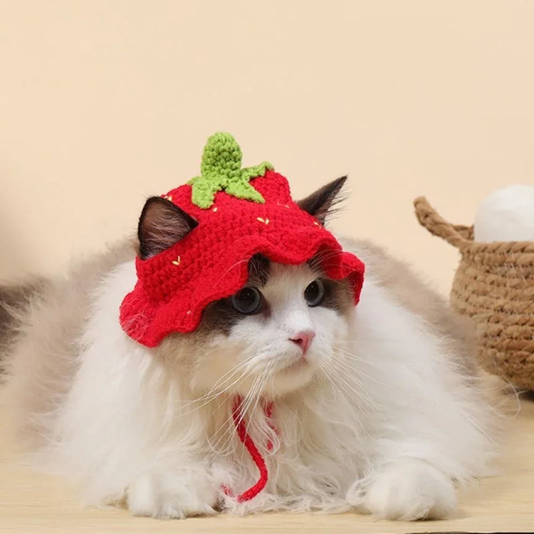 Pet Headgear | Cat and Dog Knitted Hat | Cosplay Props | Pet Headwear | Funny Pet Transformation Clothing