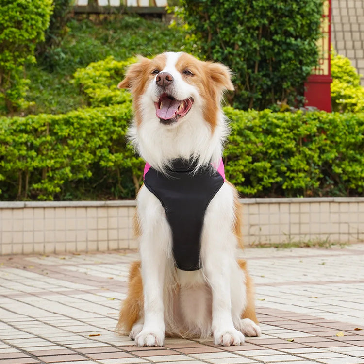 Pet Puppy Clothes Cat Clothing Autumn/Winter Warm Cotton Jacket Outdoor Waterproof Tank Top Small/Medium/Large Dog Costume