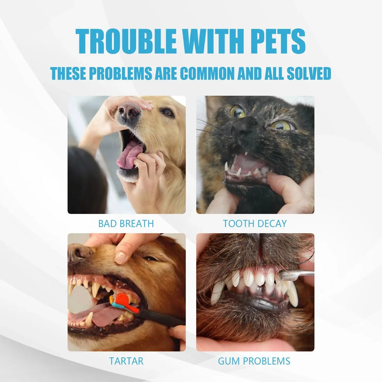 Pet Toothpaste | Cat & Dog Fresh Breath Toothpaste | Non-Harmful Teeth Care | Portable Dog Cleaning Tools | Maintenance Oral Care Device