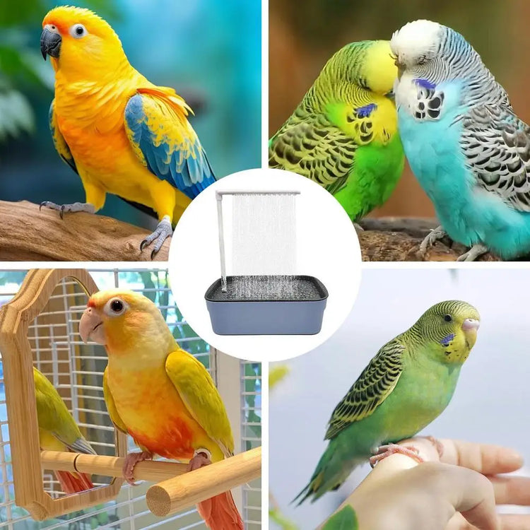 Birds Bath Fountain Parrot Water Circulating Bathtub Shower Automatic Circulating Water Bird Shower Pet Bird Bath for Cockatiel