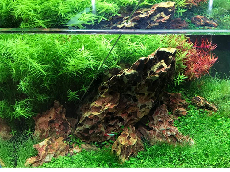 Fish tank plant liquid fertilizer syringe is used to add aquatic plant liquid fertilizer to remove planarian fish from feeding