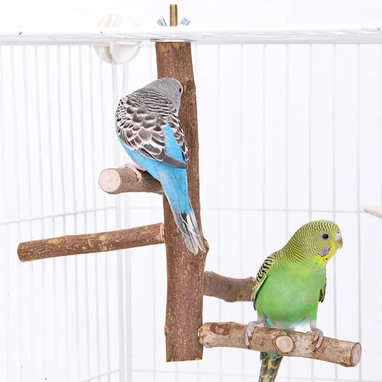 Natural Wood Bird Branch Stand | Perches Pet Parakeet Budgie Hanging Play Toy | Bird Cage Parrot Wooden Desk Holder Perches Platform