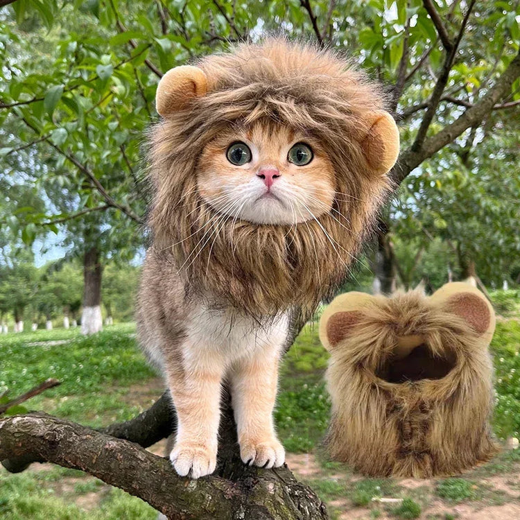 Cute Lion Mane Wig Hat for Cats/Small Dogs | Funny Pet Costume For Halloween, Christmas & Parties